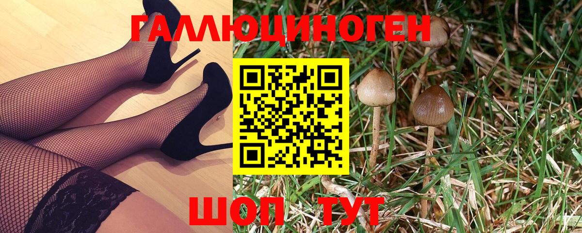Псилоцибиновые грибы прущие грибы Кизилюрт