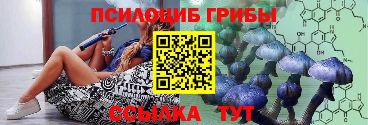 Псилоцибиновые грибы GOLDEN TEACHER  Галлюциногенные грибы Psilocybine cubensis  Вход с VPN  продажа наркотиков  Кизилюрт 