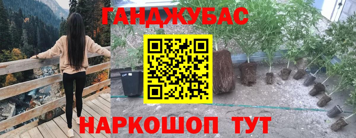 Бошки Шишки THC 21% Кизилюрт